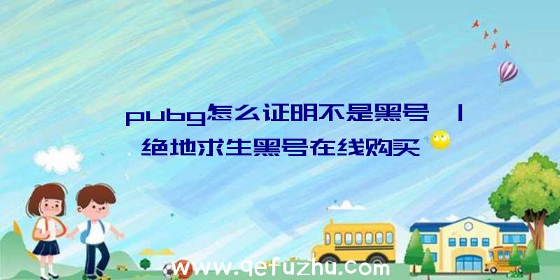 「pubg怎么证明不是黑号」|绝地求生黑号在线购买